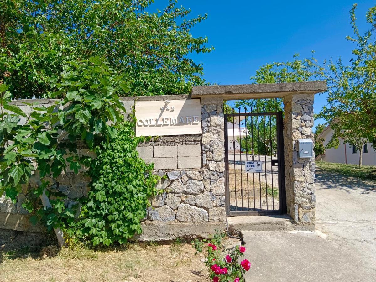 B&B Collemare Scalea Exterior foto